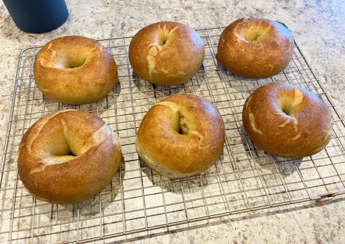 6 NY-style bagels cooling on a rack after being revived for break-fast